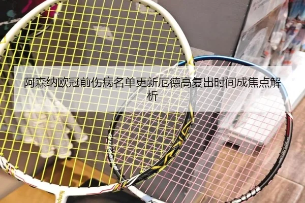 阿森纳欧冠前伤病名单更新厄德高复出时间成焦点解析 | milanosports